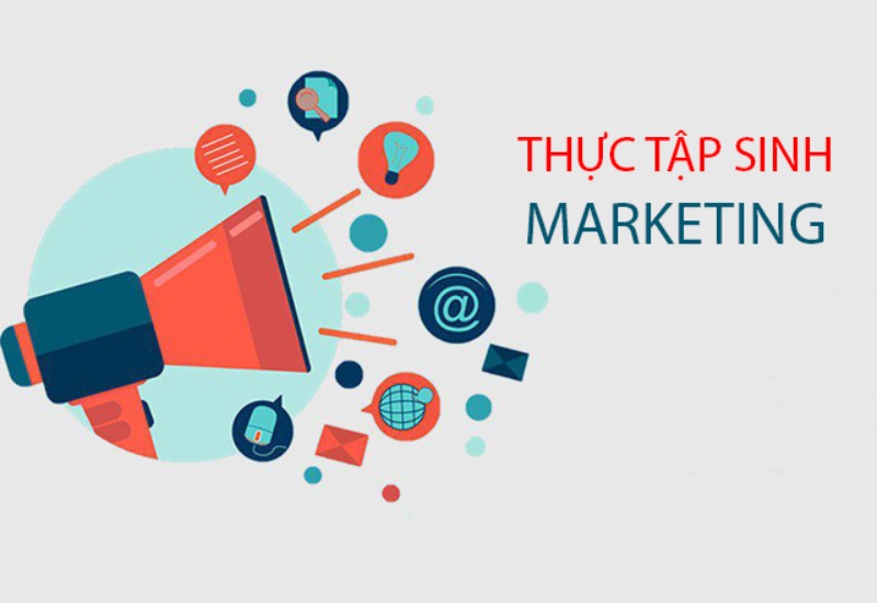 Chi tiết công việc thực tập marketing