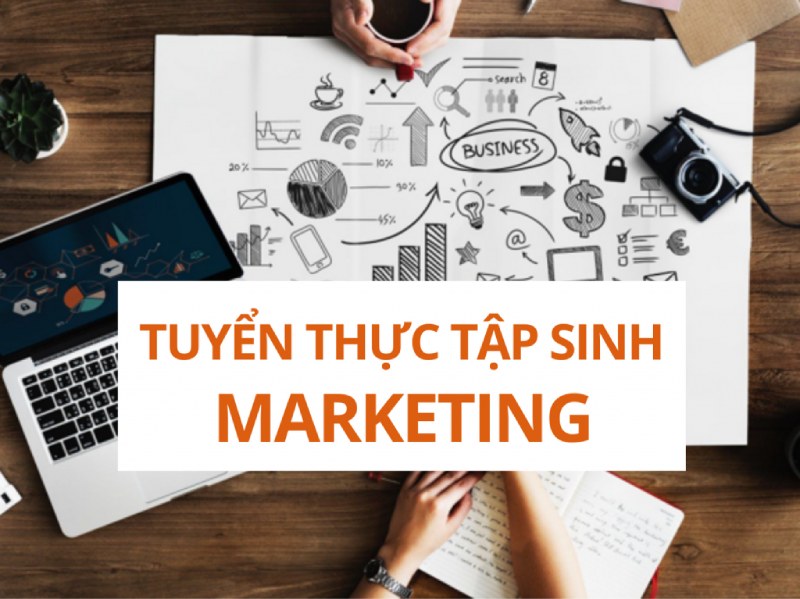 Yêu cầu đối với vị trí thực tập sinh marketing