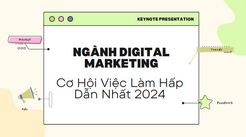 Cơ Hội Việc Làm Hấp Dẫn Nhất 2024