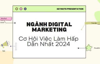 Cơ Hội Việc Làm Hấp Dẫn Nhất 2024